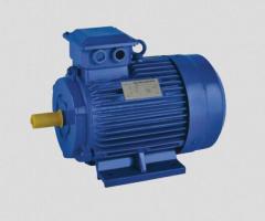 AC Induction Motor Manufacturer and Supplier in India - Shrirang Energy Efficient - 1