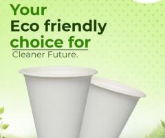 Best Biodegradable Dinnerware – Safe, Durable & Affordable