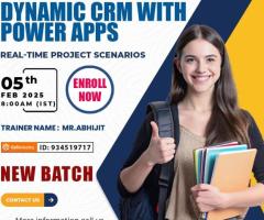 Online New Batch On - Microsoft Dynamics CRM with Power Apps