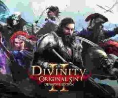 Divinity Original Sin Laptop / Desktop Computer Game