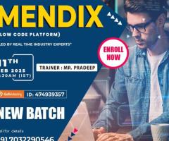 Online New Batch On - Mendix