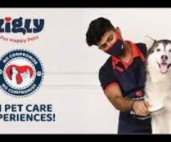 Retail and services platform offering the widest range of Pet care products.