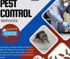 Fast & Reliable Pest Control in Gisborne – Call Now