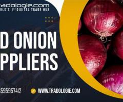 Red Onion Suppliers - 1