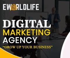 Expert digital marketing services