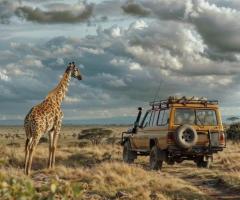 Ashford Tours offers unique Kenya Flying Tours