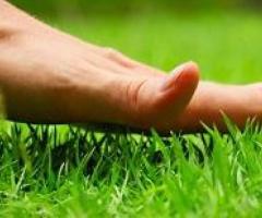 Boost Your Lawn’s Health with Expert Fertilization Services by My Guy Pest and Lawn