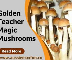 Buy Psilocybecubensis in Australia