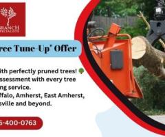 Welcome to Branch Specialists Tree Service Buffalo NY 