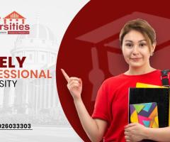 Online Lovely Professional University