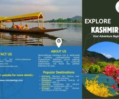 Best Kashmir Tour Packages from Delhi – Book Now with NatureWings!