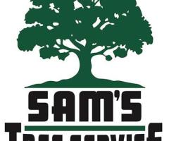 Tree Service Santa Rosa