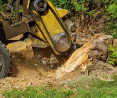 Professional Stump Grinding Services Montgomery County MD