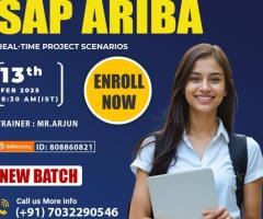 SAP Ariba Up Coming Online Training New Batch 13th Feb