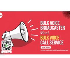 Reach Your Audience Instantly with Bulk Voice Broadcasting