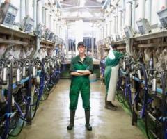 Revolutionize Dairy Management with Advanced Cow Software Solutions