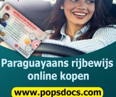 Kop een Paraguayaans rijbewijs online