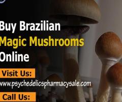 How to Buy Brazilian Magic Mushrooms Online