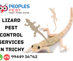 Lizard Pest Control Services in Trichy