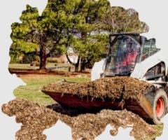 Efficient Debris Removal Service by Tree Service Expert the Fast, Reliable, and Affordable