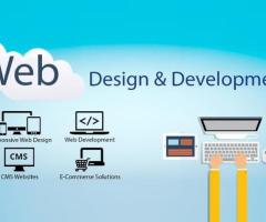 How Can Professional Web Development Solutions Transform Your Business Online?