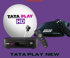 Find the Tata Play New Connection Supplier in Nellore