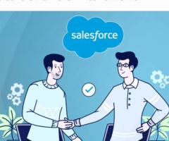 Optimizing CRM Strategies with Salesforce Partners