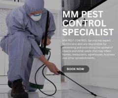 "Creating Healthier Spaces with Termite Treatment By MM Pest Control"