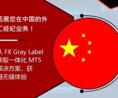 Start Your Forex Brokerage in China with MT5 GreyLabelFX