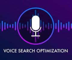 How to Optimize Your Website and improve your voice search SEO in 2025?