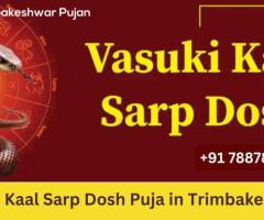 Vasuki Kaal Sarp Dosh Puja in Trimbakeshwar | Trimbakeshwar Pujan