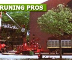 Commercial Tree Pruning Experts