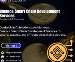 Elevating Your Blockchain Project: Expert Binance Smart Chain Development Services