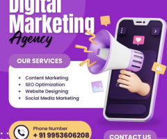 Best Digital Marketing Agency in Noida – Grow Your Business Online