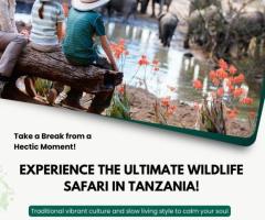 Unforgettable Kilimanjaro and Safari Packages: Tanzania Tours & Wildlife Adventures