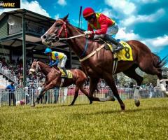 Learn How to Bet on Horse Racing – Beginner’s Guide Available!