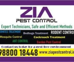 Garden Pest Cleaning service | we can tackle any pest problem | Bengaluru | 5061