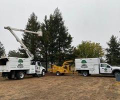 Tree Service in Sonoma County