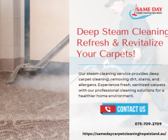 Carpet Cleaning Hope Island – Fresh, Clean & Stain-Free Carpets, Every Time