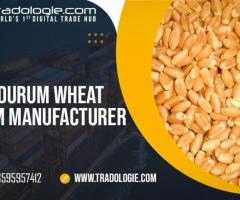 Buy Durum Wheat From Manufacturer