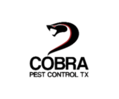 Mosquito Control Services in Spring TX