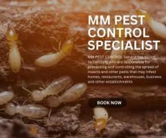 choosing MM pest is Smart move for Stubborn termite Problems