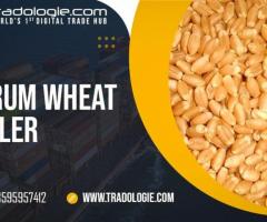 Durum Wheat Sellers