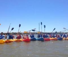 Guided Kayaking Near Me