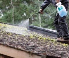 Get The Best Roof Cleaning Services in Cork by WB Cleaning