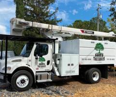 Hazardous Tree Removal in Santa Rosa