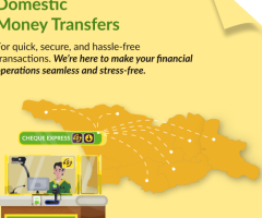 Instant Domestic Money Transfer Services