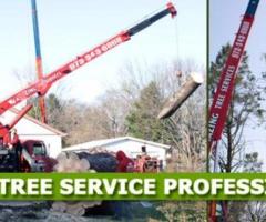 Tree Cutting Service in NJ