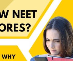 Low NEET Scores? Here’s Why You Still Have Chances!