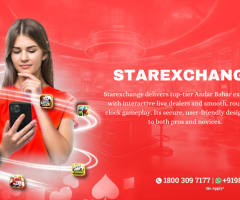 Starexchange: A Gaming Platform Designed for Every Player